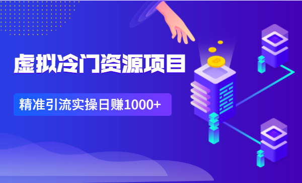 虚拟冷门资源项目，精准引流实操日赚1000+