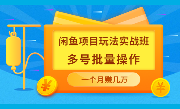 《闲鱼项目玩法实战班》多号批量操作+一个月赚几万+无上限